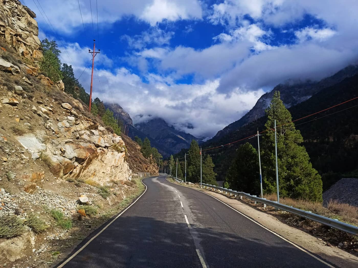 A mountain highway winding between cliffs and pine forest in Kinnaur