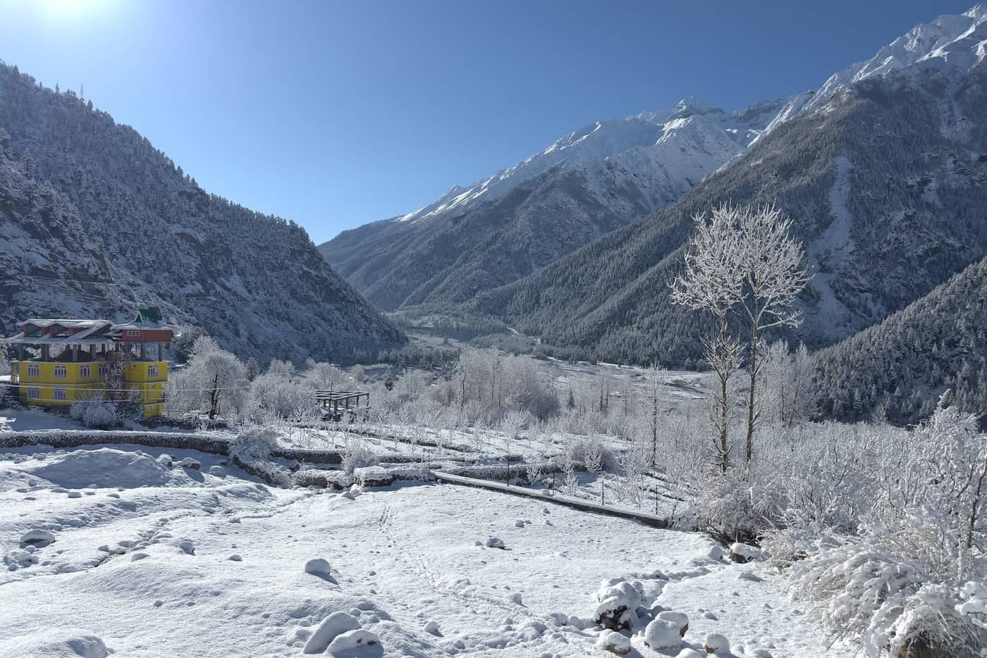 Frost and fresh snow in the Baspa valley at Sangla, Kinnaur